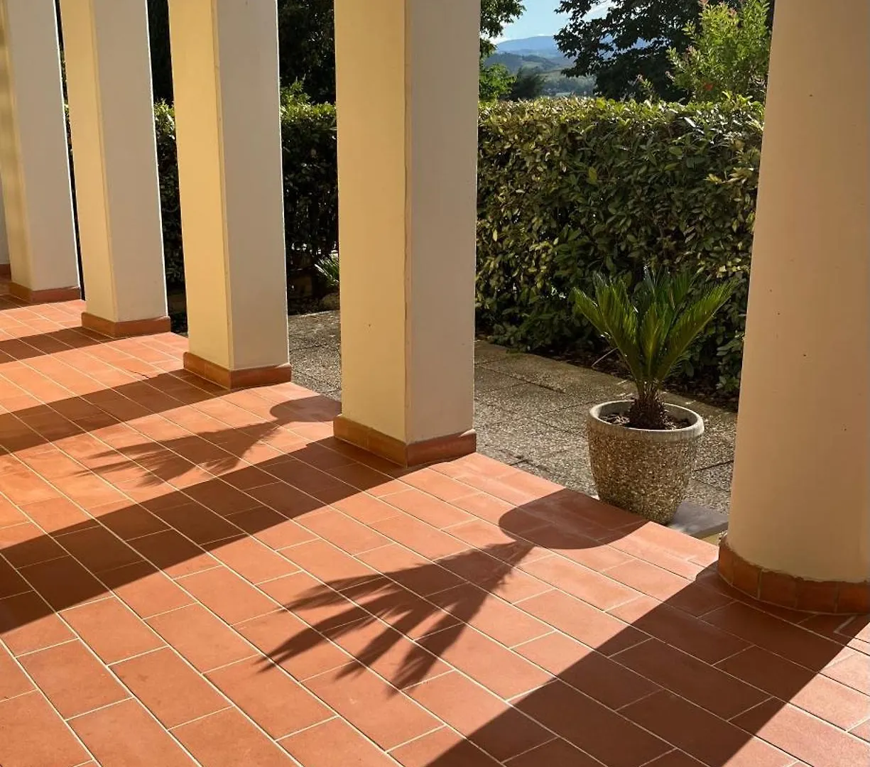 My Home In Peccioli